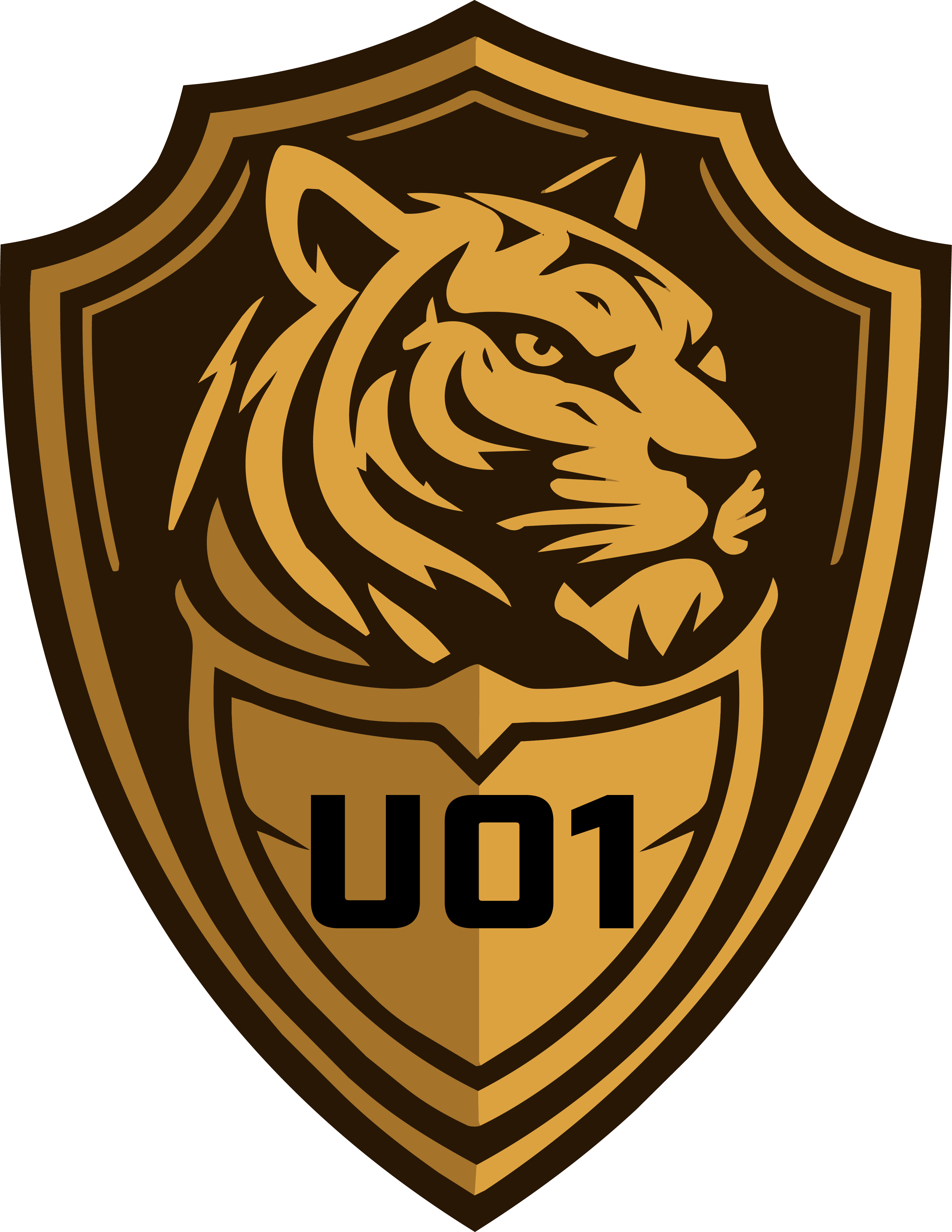 Unit of One Shield